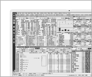 專業版 HV2